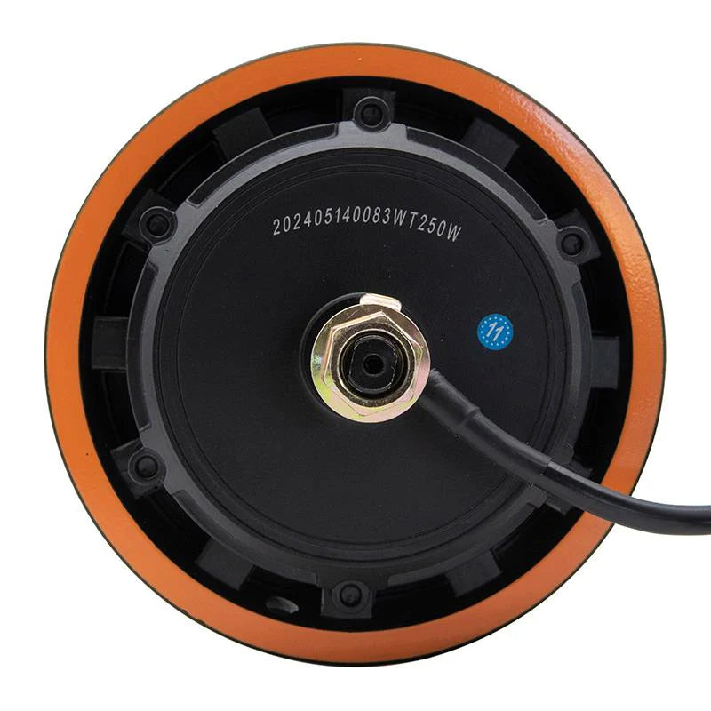 48V 800W 6/B34 Motor