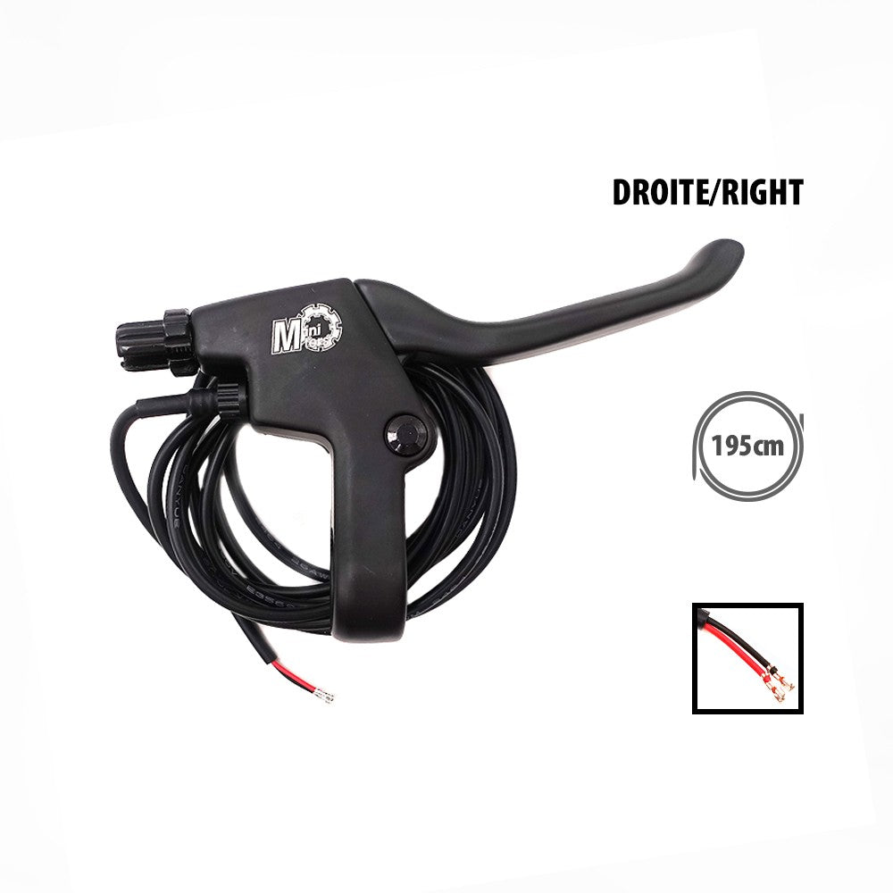 Maneta de freno derecha Dualtron Togo Pro / Max