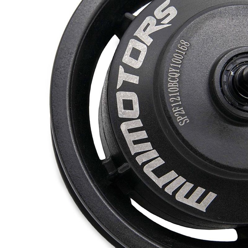 Moteur minimoteurs 60V 800W (Max.1800W) – original Dualtron Eagle/New MX