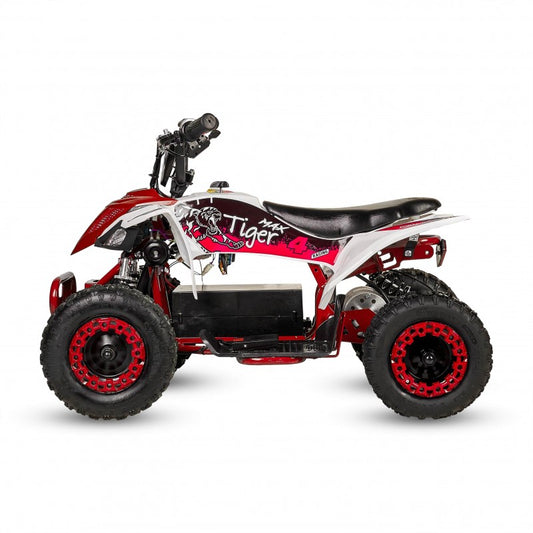 Tiger - MiniQuad Infantil 1000w off road