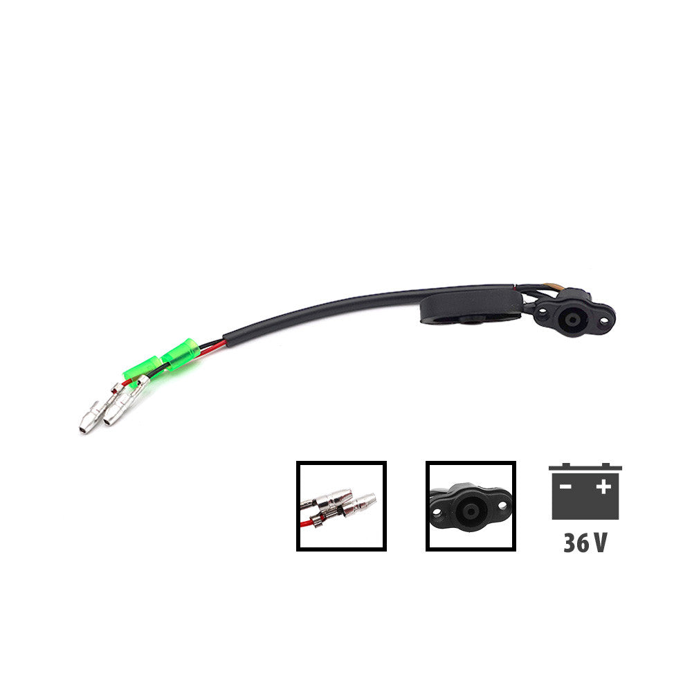 Puerto de carga Dualtron Togo 36V V2