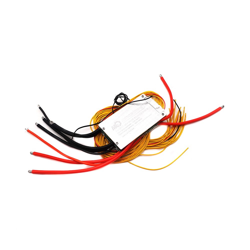 BMS Dualtron Forever