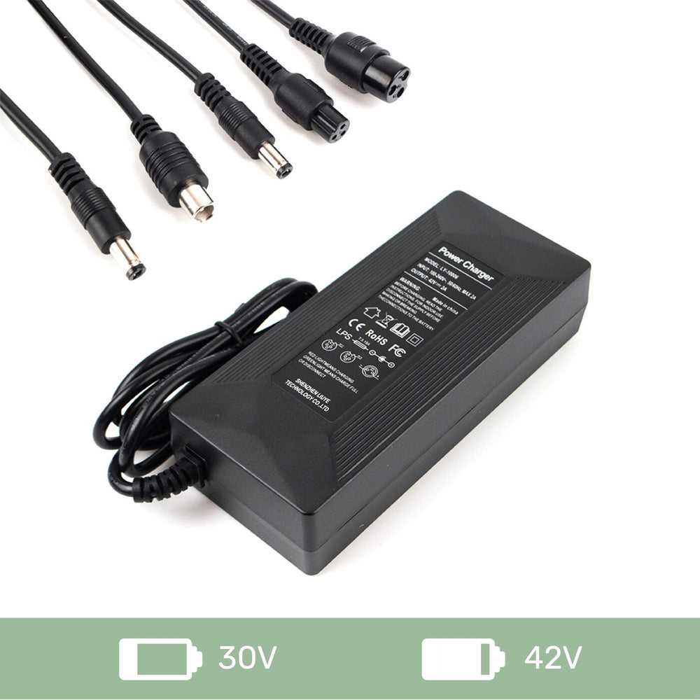 Cargador 36V 2A Multi-Punta