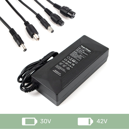 Chargeur multi-broches 36 V 2 A