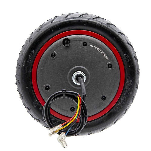 Motor 36V 300W 6,1/B34