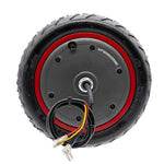 Motor 36V 300W 6,1/B34
