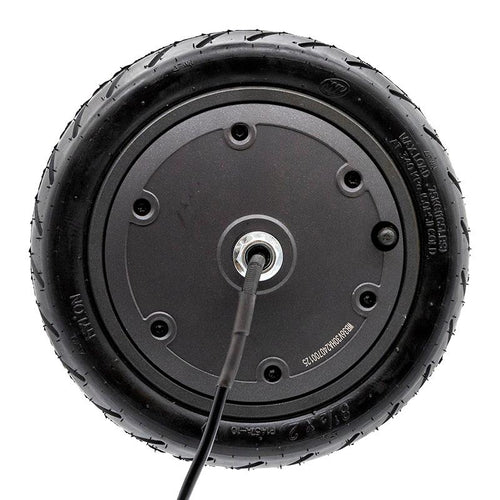Motor 36V 300W 6,1/B34 para cecotec