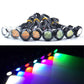 Luz Led ojo de Aguila (pack de 2 luces)(12 leds por luz) Elige tu color