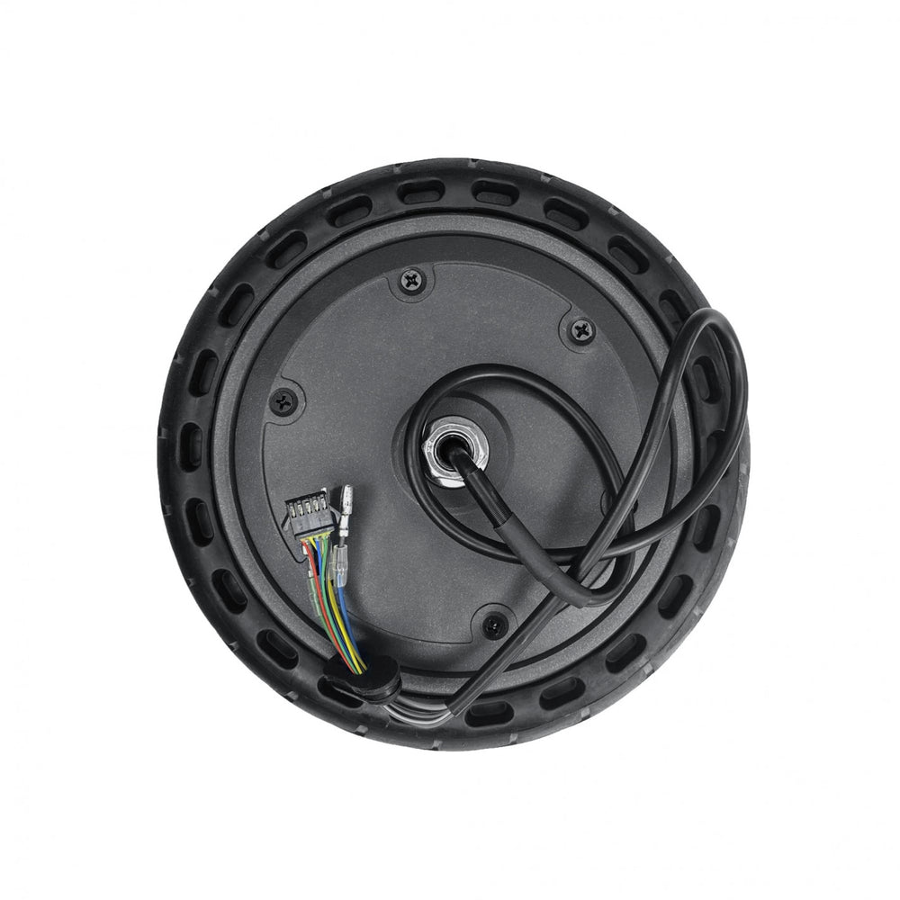 Zwheel 300W Motor + 8,5' pannensicherer Reifen 