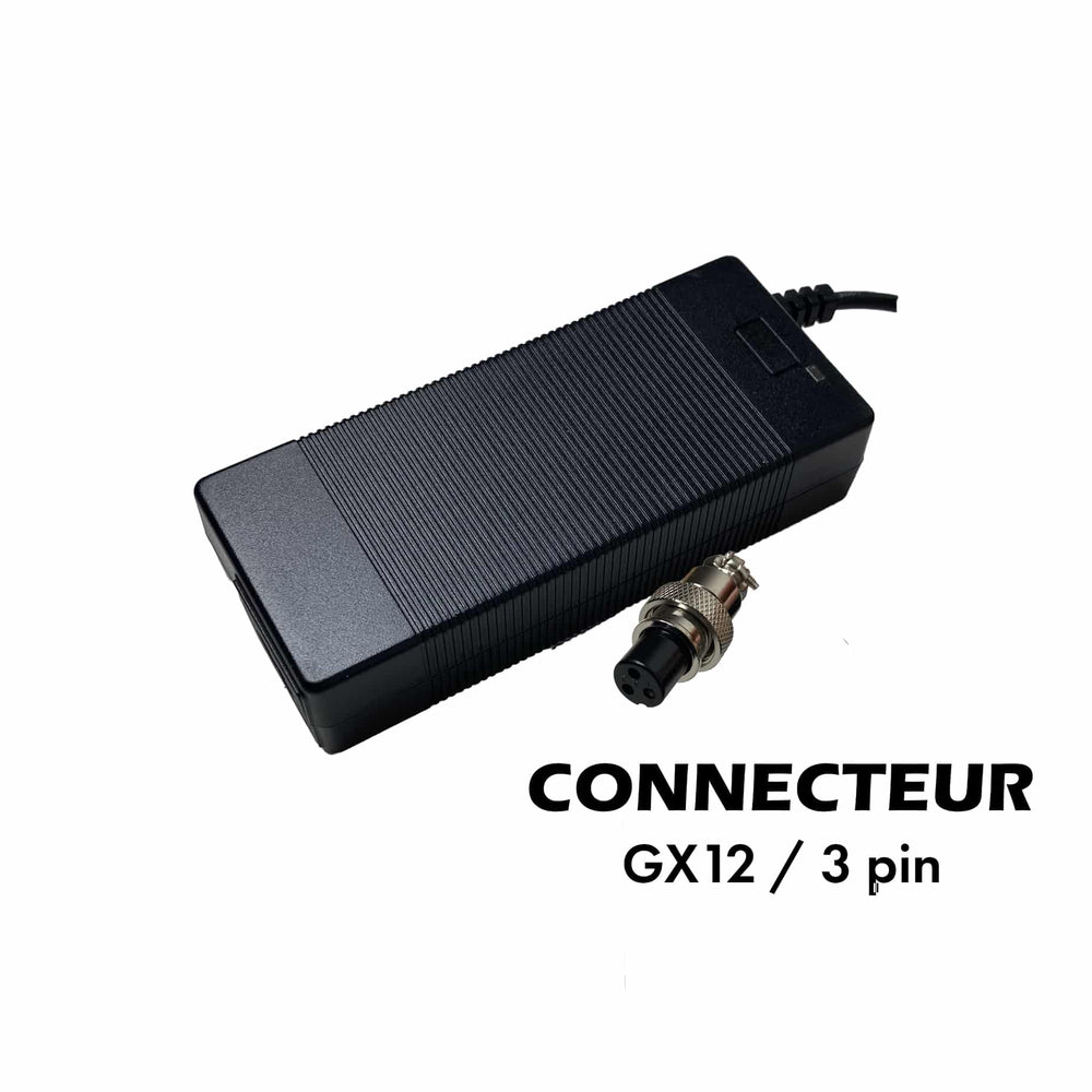 Cargador 24V ➡️ 29.4V \/ 2A (conector GX16-3p)