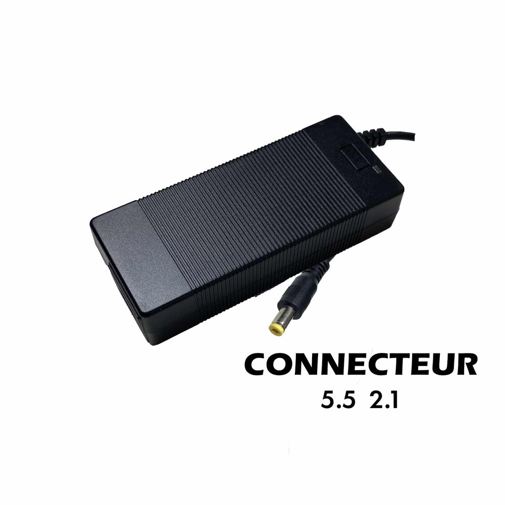 Pack Cargador 24V ➡️ 29.4V \/ 2A (conector DC 5.5*2.1mm)