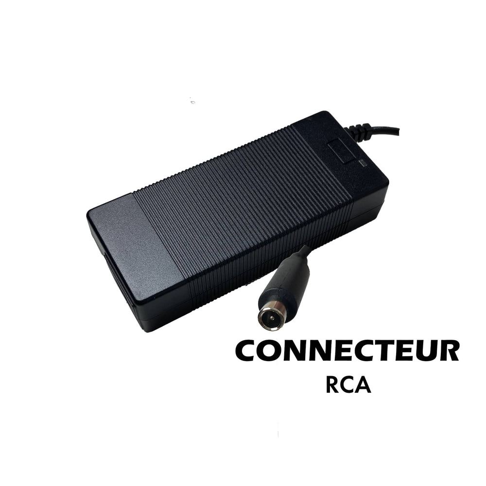 Pack Cargador 36V ➡️ 42V / 2A (conector RCA)