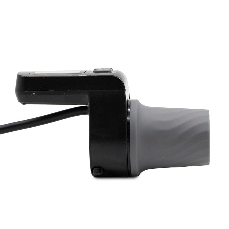 Display con acelerador Niu KQi100