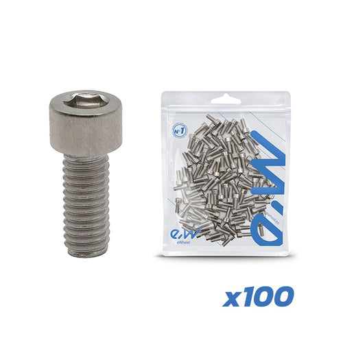 Tornillos guardabarro Dualtron 100 uds