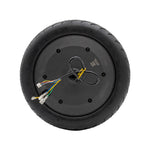Motor Xiaomi 6 (con neumático tubeless CST 60/90-8)