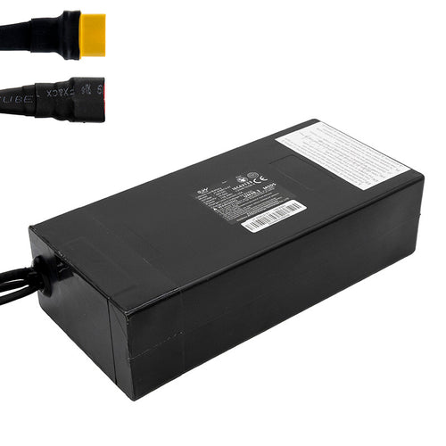 Batería 48V 19,2 A/h para smartgyro speedway [Ewheel]