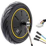 Motor 36V 350W 6,5/B50 Ninebot G30 / G30P [Ninebot]