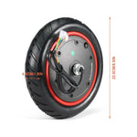 Patinete eléctrico Ecoxtreme M41 Dual
