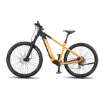 VIKETORY ROKTAR Plus ebike MTB
