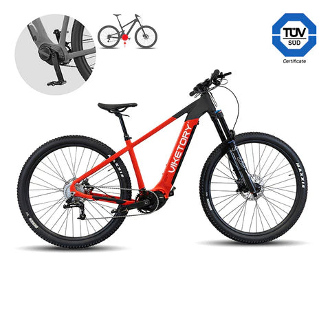 VIKETORY ROKTAR Plus ebike MTB