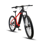 ROKTAR +Plus ebike MTB