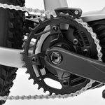 ROKTAR +Plus ebike MTB