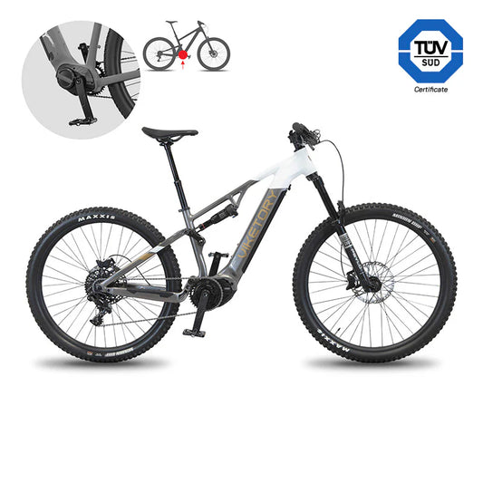 VIKETORY TERRAM ebike MTB Gris/Blanco