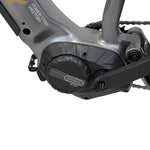 VIKETORY TERRAM ebike MTB Gris/Blanco