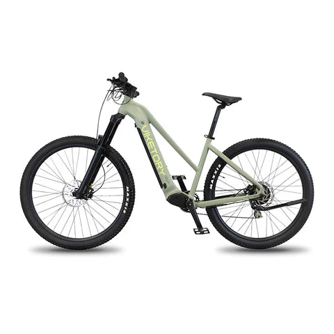 VIKETORY ZEPHIR ebike MTB