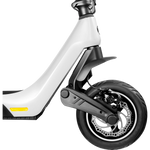 Zwheel ZLion Pro Zugelassener Roller 