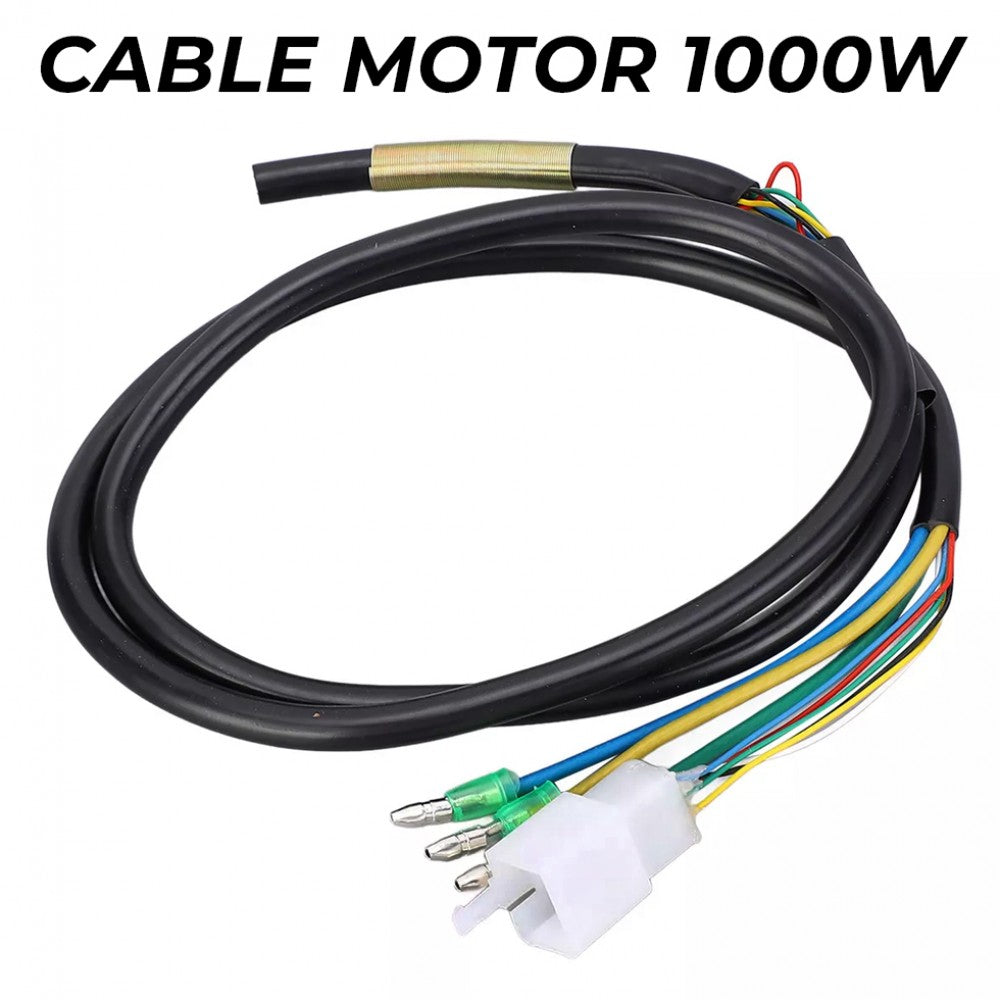 Cable motor genérico 1000W compatible con smartgyro