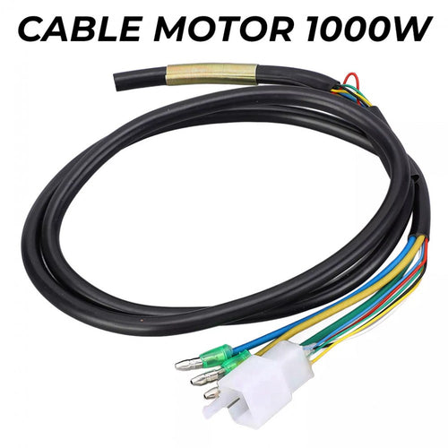 Cable motor genérico 1000W compatible con smartgyro