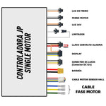 Controladora JP 48/52V 35A – Dual motor (Trasero) [JP]