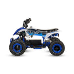 Tiger - MiniQuad Infantil 1000w off road