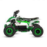 Tiger - MiniQuad Infantil 1000w off road